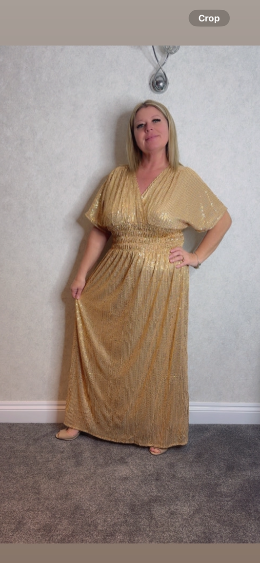 Elcie Maxi Sequin Short Sleeve Dress