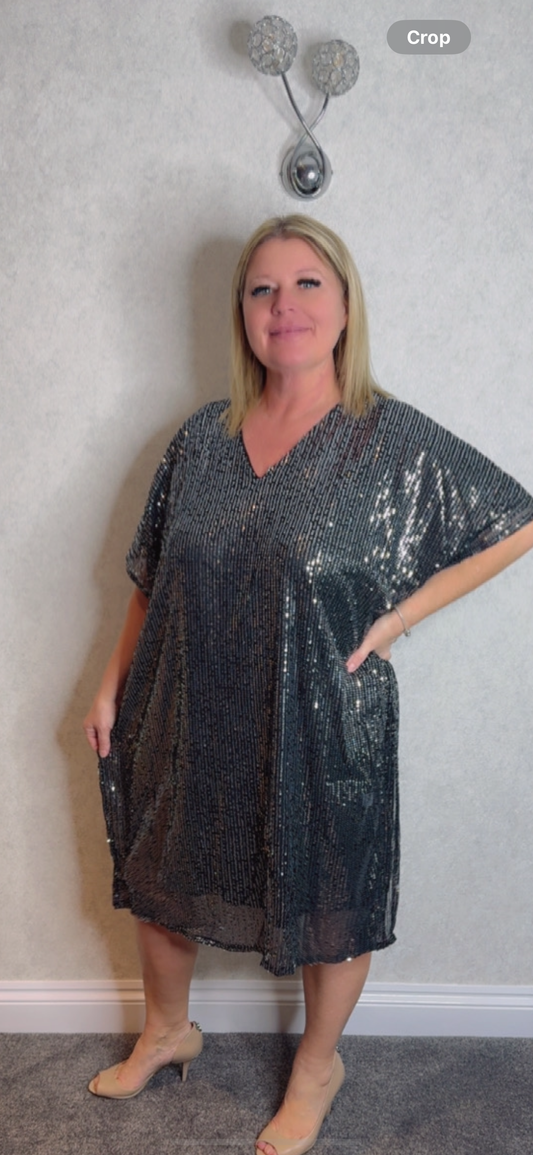 Julia Plus Size Sequin Dress